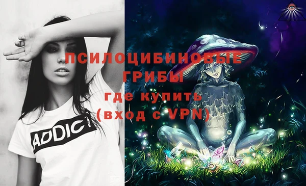 a pvp Осинники
