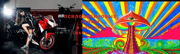 СК Богородицк
