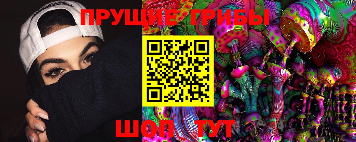 Псилоцибиновые грибы Cubensis  Тюмень  Псилоцибиновые грибы Cubensis 