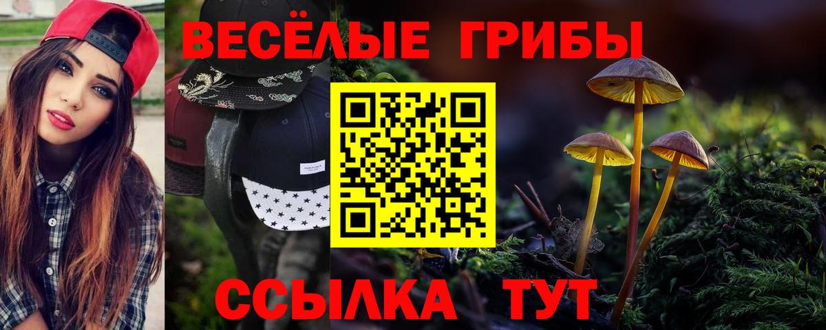 Галлюциногенные грибы мицелий Тюмень
